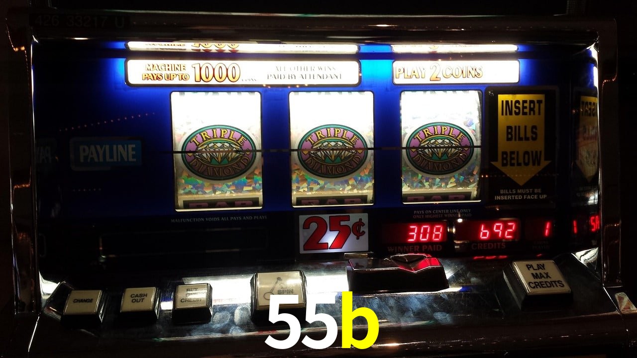 Experiência VIP 55b
