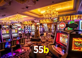 55b Brasília - VIP Program