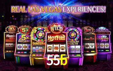 55b Rio de Janeiro - Bonus Terms